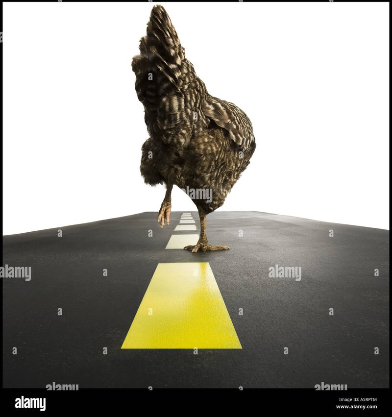 Ontdek De Gokkastige Road naar Rijkdom met Chicken Road Spel Online - overview Ontdek De Gokkastige Road naar Rijkdom met Chicken Road Spel Online - overview