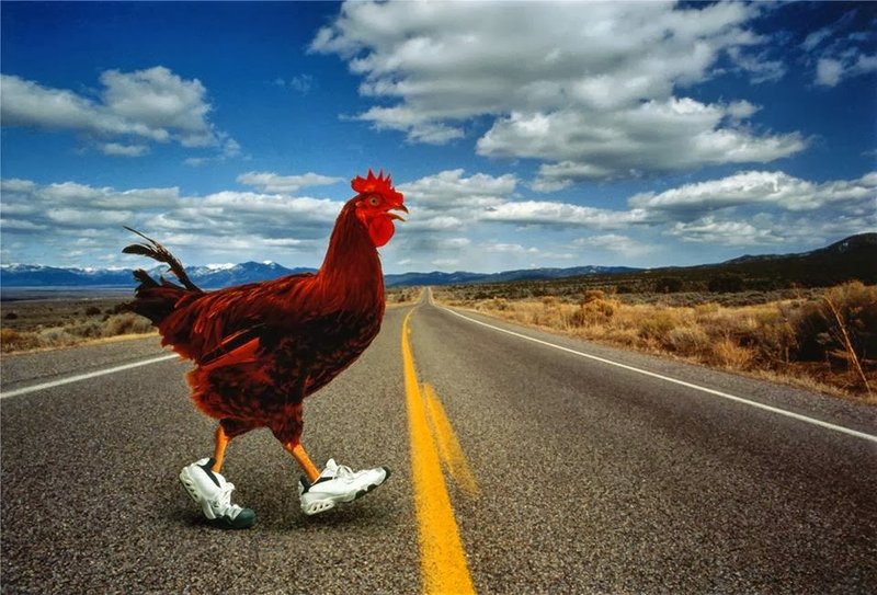 A Chicken Road 2 Újabb Szenzáció A Magyar Online Kaszinókban itt: Hungary