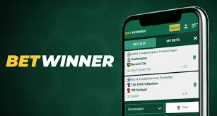 Everything You Need to Know About BetWinner -811567370 Everything You Need to Know About BetWinner -811567370